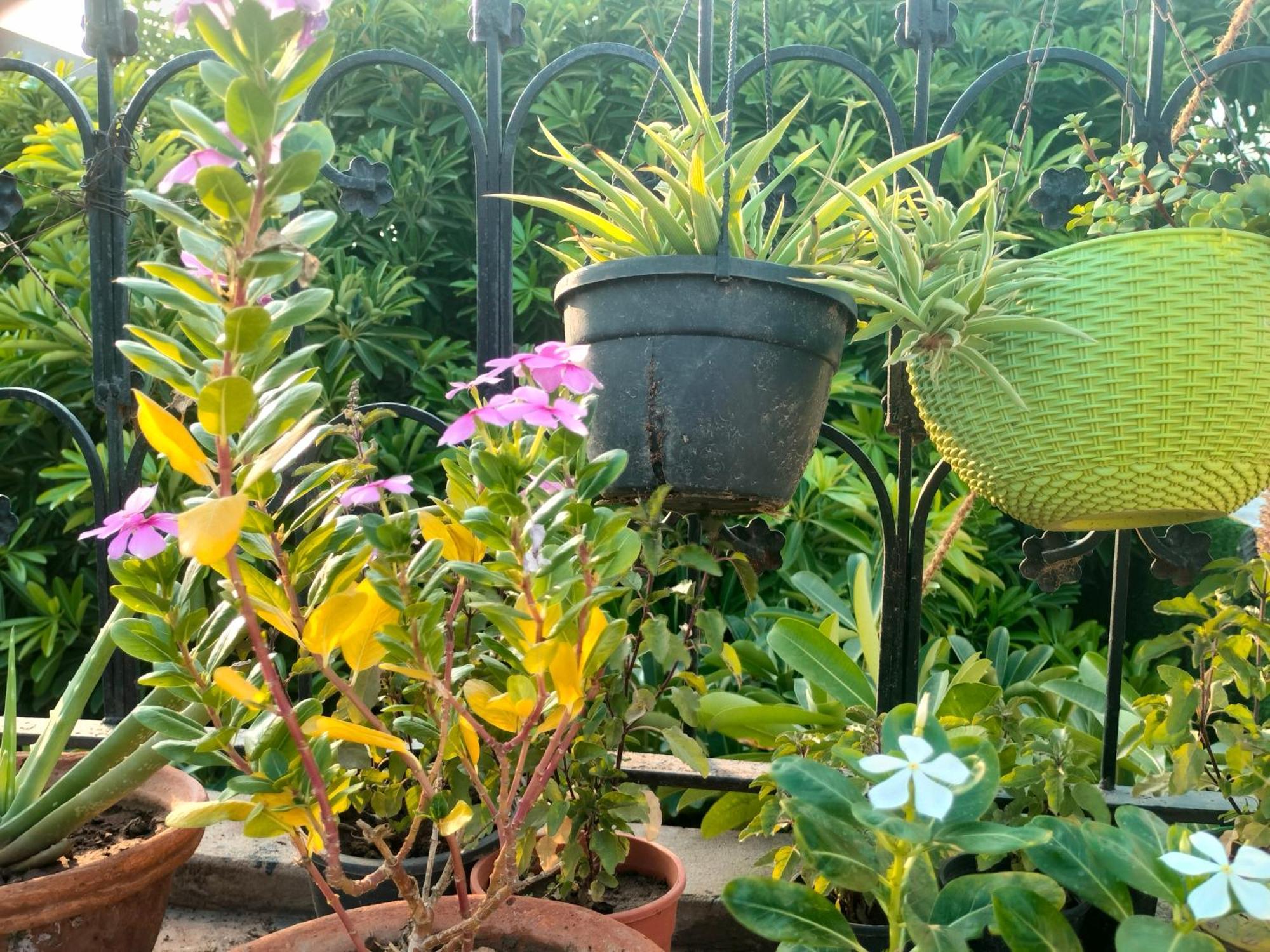 Kishan Home Stay Mathura Buitenkant foto