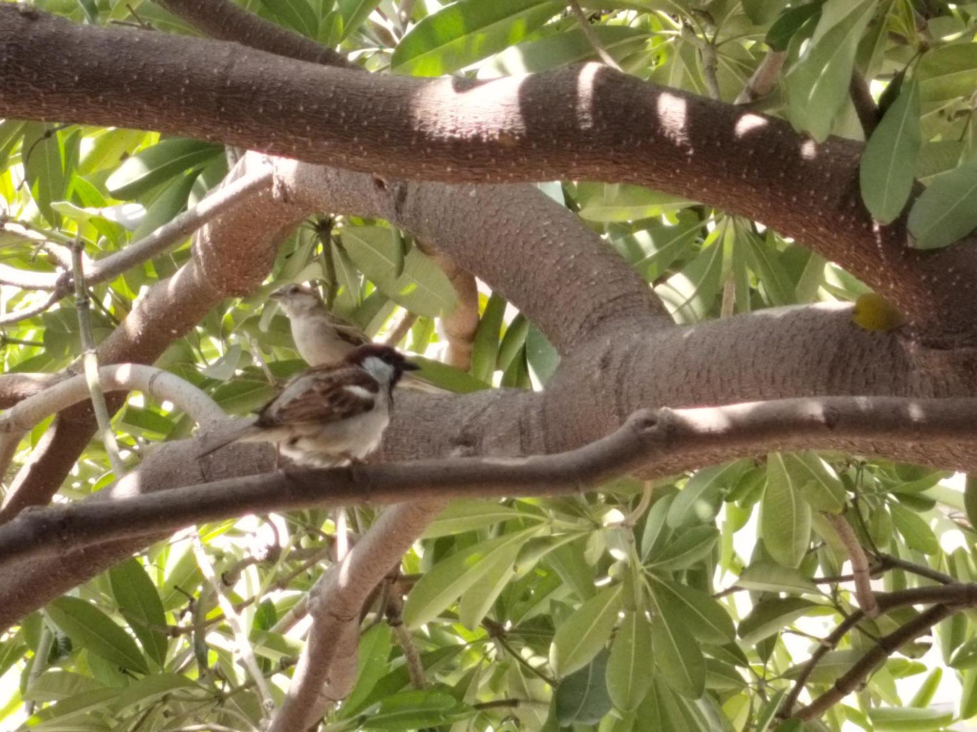 Kishan Home Stay Mathura Buitenkant foto